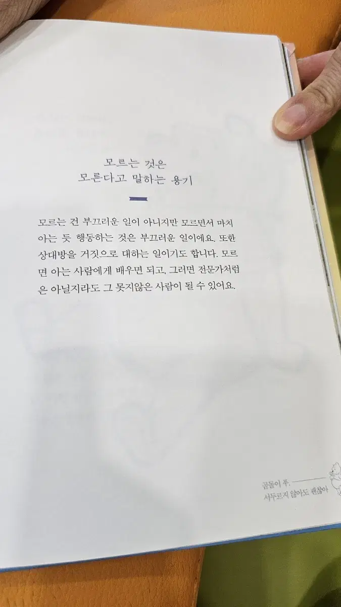 벨보아 깨끗한거 돈봉으로 사용